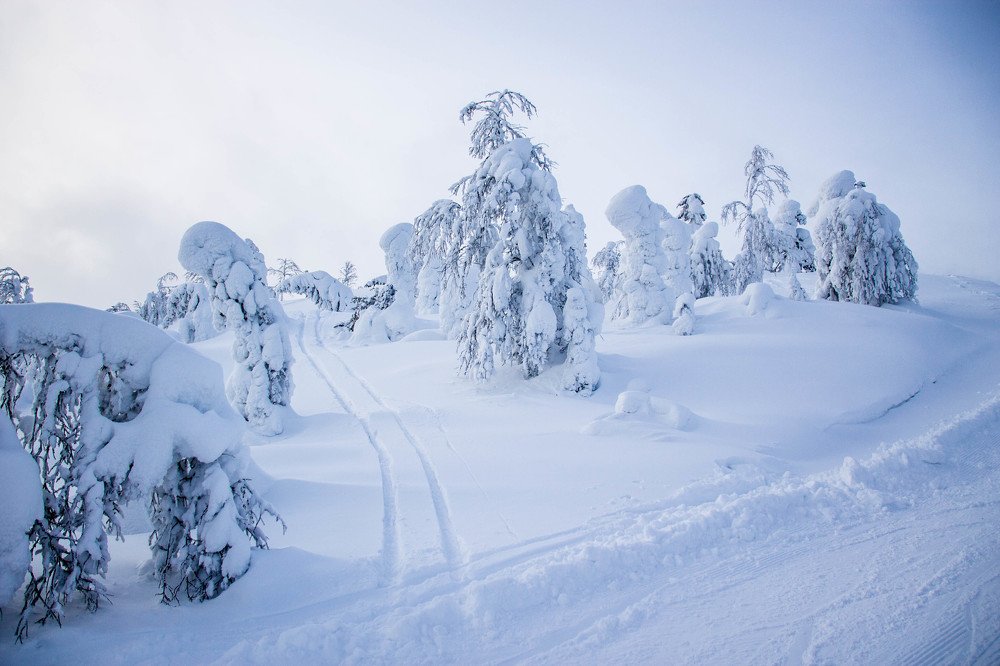 Photograph by Анна Колесникова