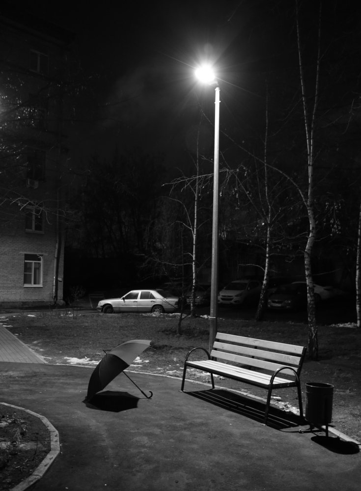 Photograph by Владимир Васильев