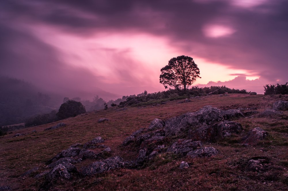 Photograph by biswajit sahani