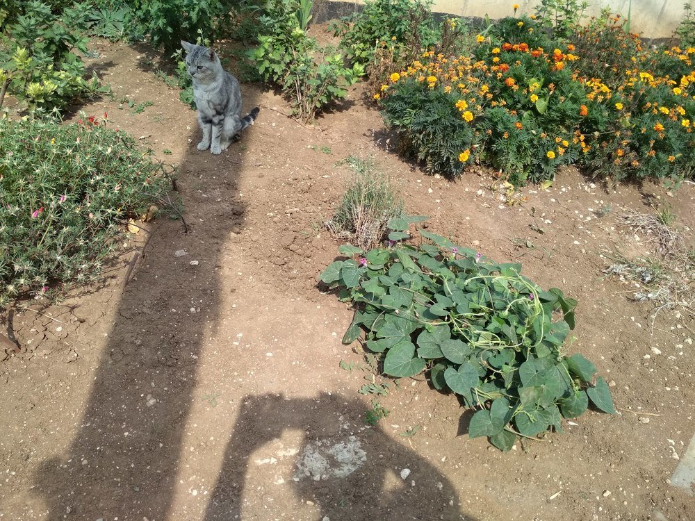 Photograph by Людмила Ковалевская