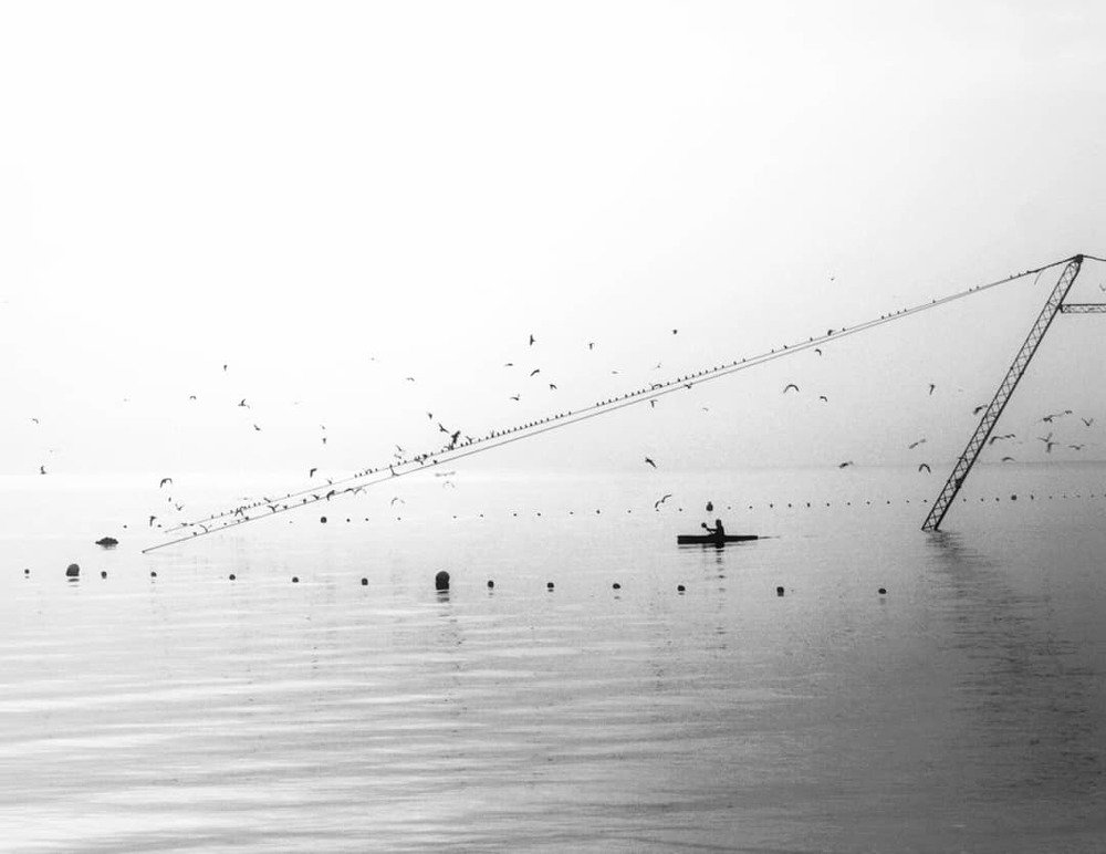 Photograph by Amirkasra baniasadi