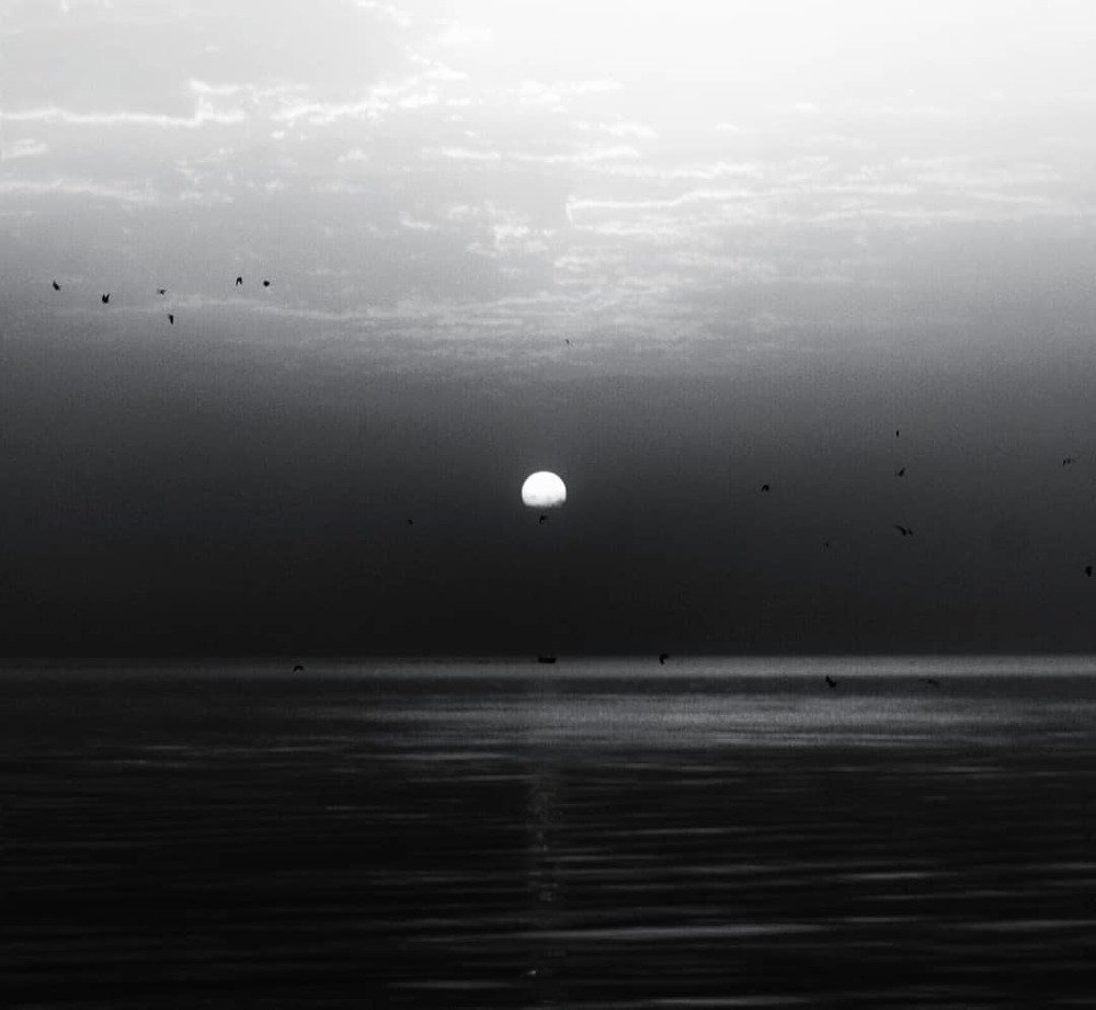 Photograph by Amirkasra baniasadi