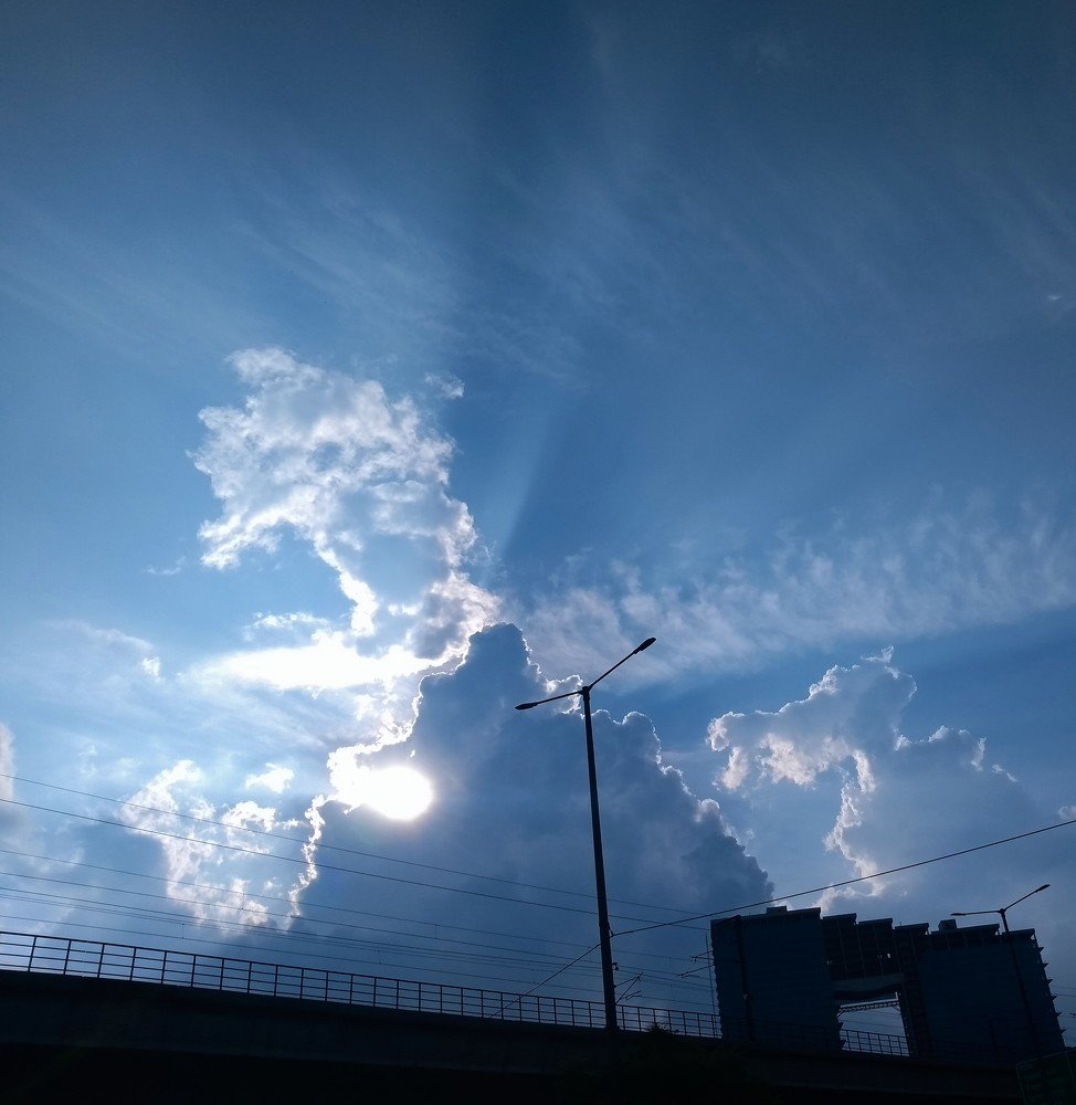 Photograph by Mamta Sharma