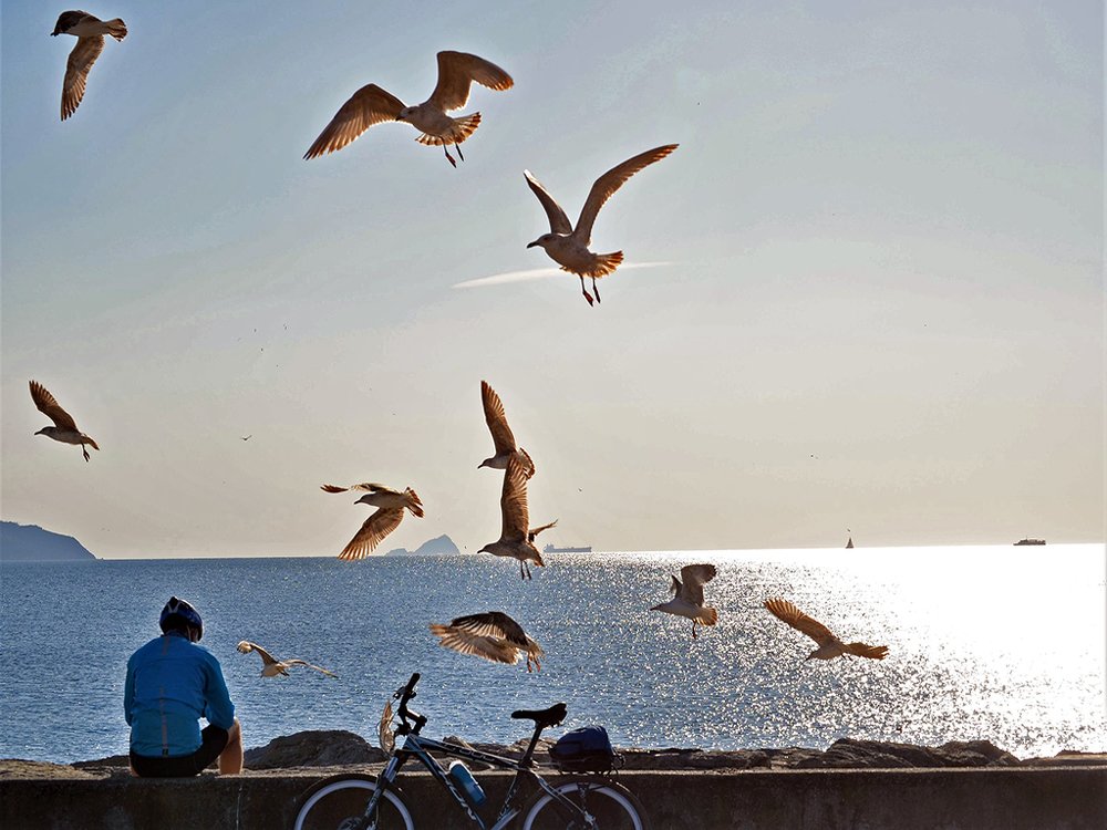 Photograph by Sevgi Duyar