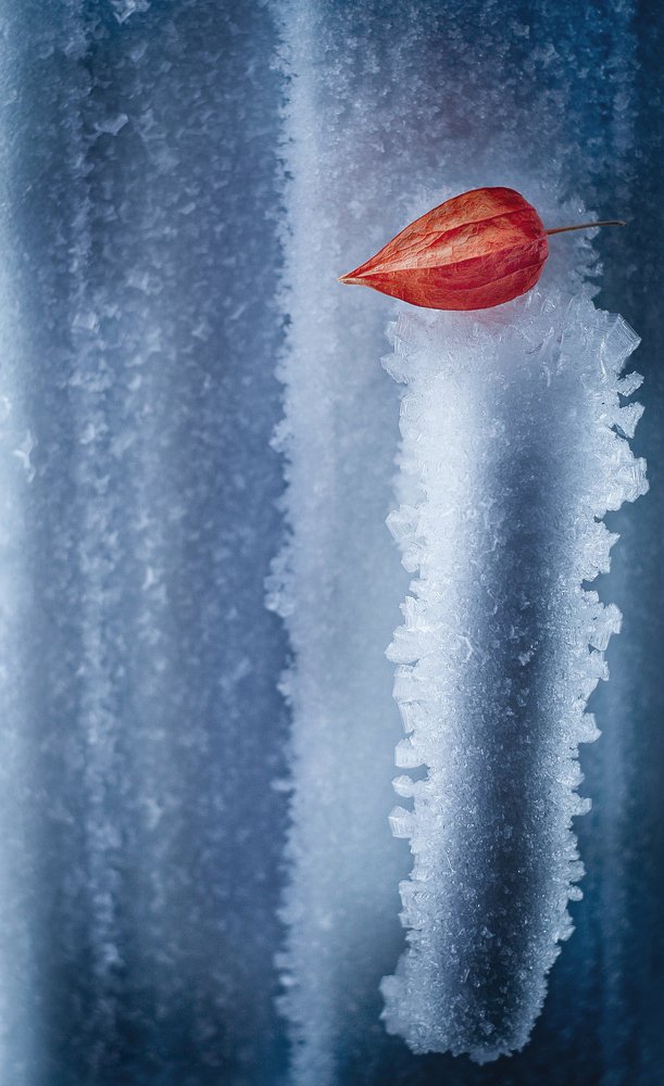 Photograph by Svoboda Andreeva