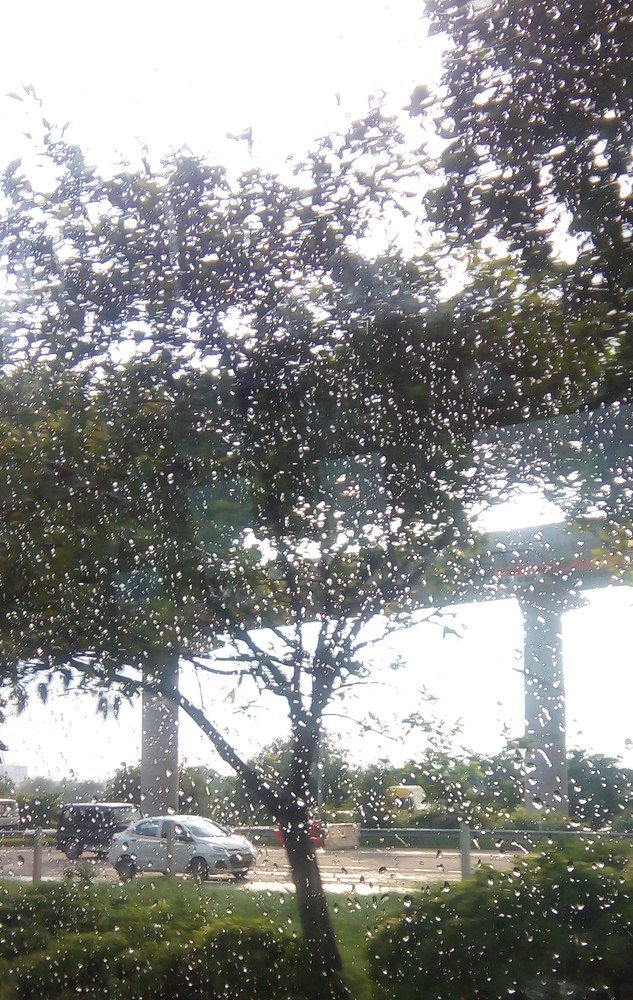 Photograph by Mamta Sharma