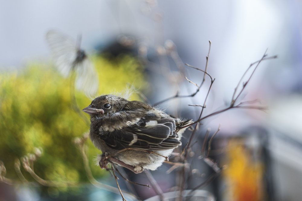 Photograph by Svoboda Andreeva