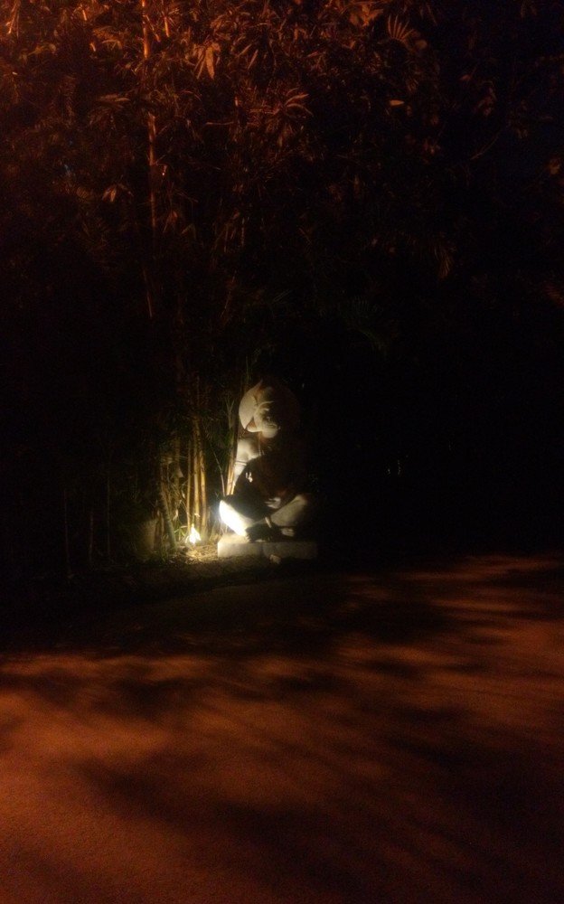 Photograph by Mamta Sharma