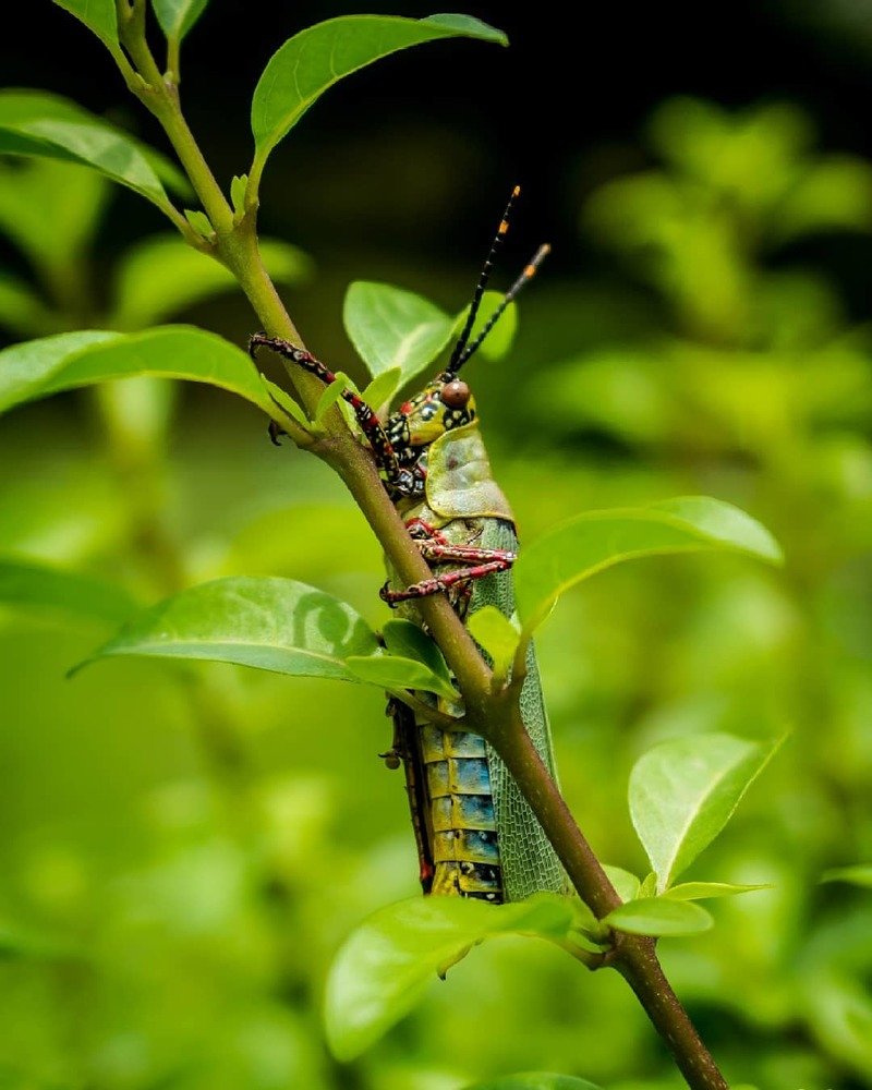 Photograph by Joel Idowu