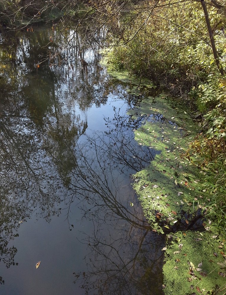 Photograph by Людмила М