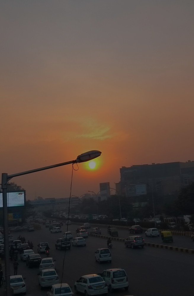 Photograph by Mamta Sharma