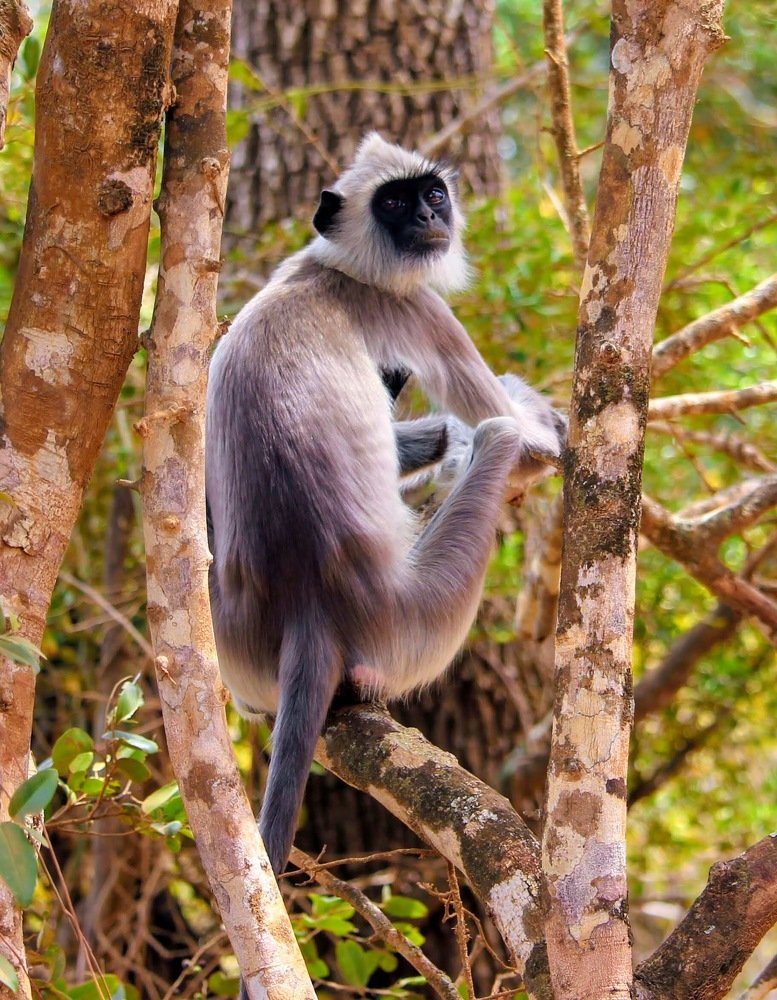 Photograph by Marine Sukiasyan