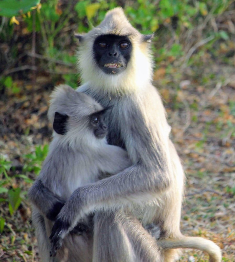 Photograph by Marine Sukiasyan