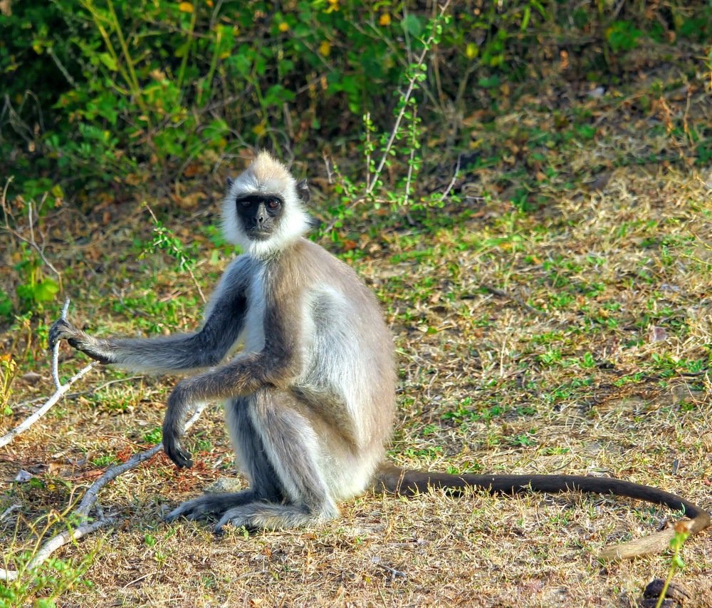 Photograph by Marine Sukiasyan