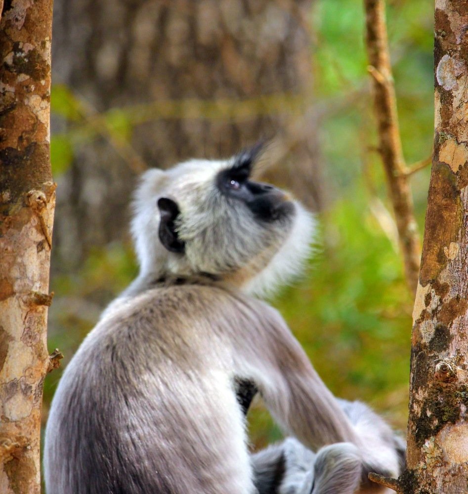 Photograph by Marine Sukiasyan