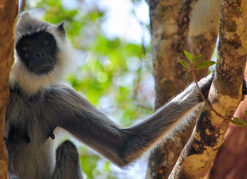 Photograph by Marine Sukiasyan