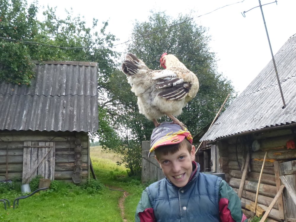 Photograph by Харис Шахмаметьев