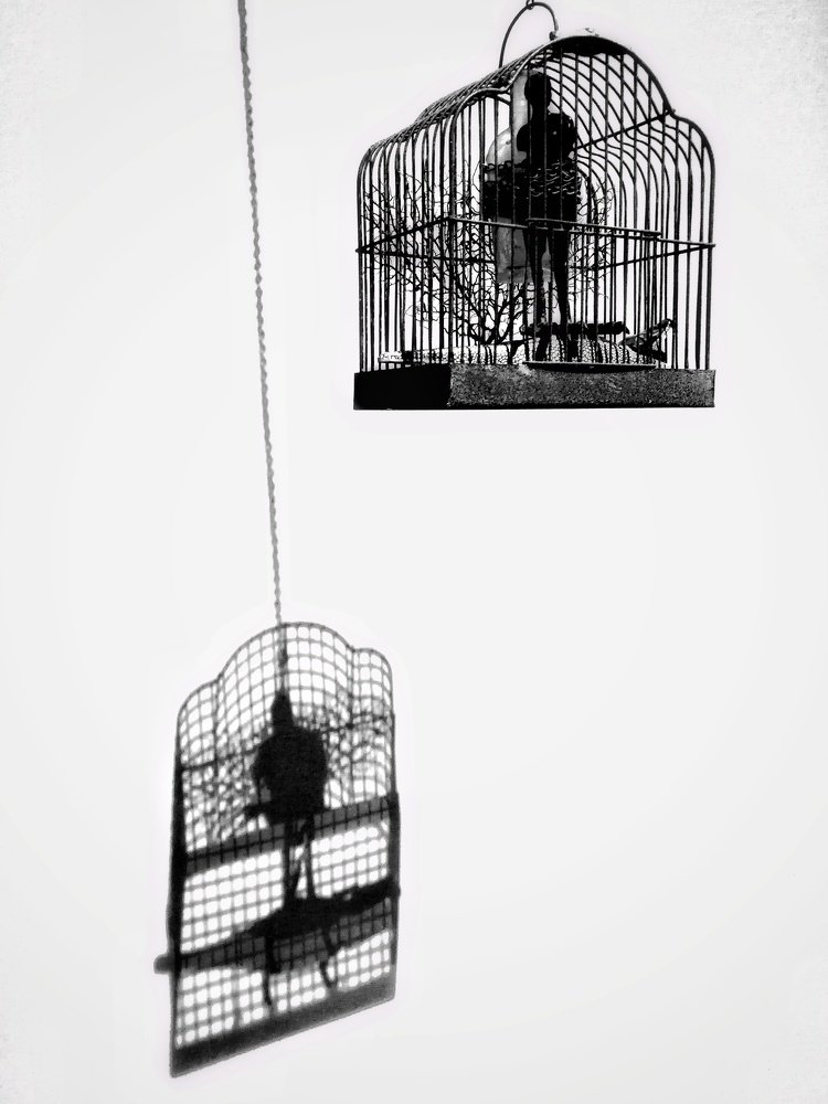 Photograph by  Annette torres