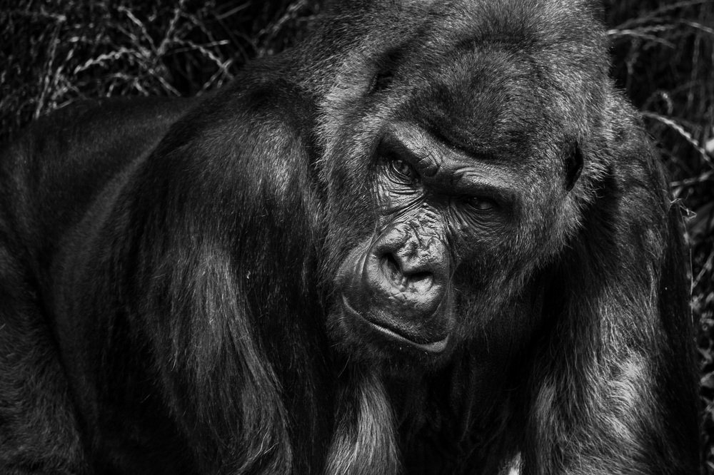 Фотография автора Максим Юрков