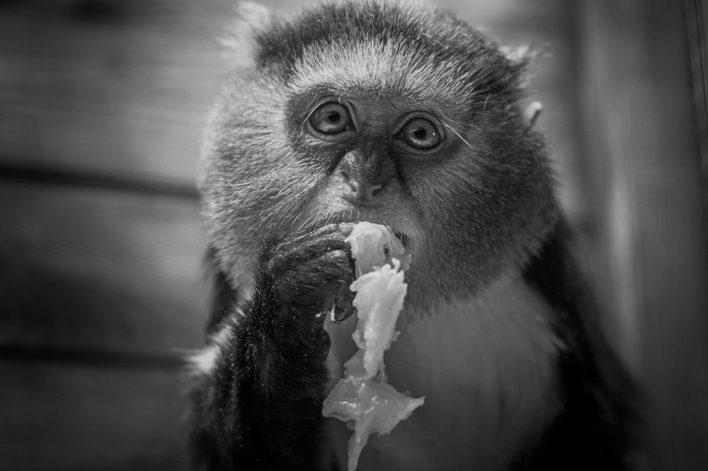 Фотография автора Максим Юрков