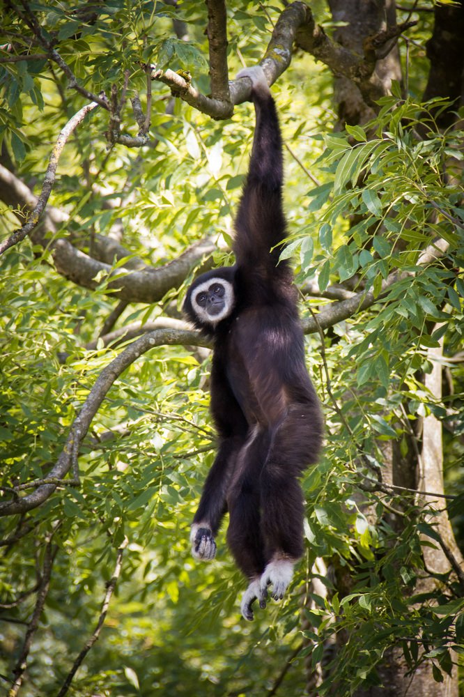 Фотография автора Максим Юрков
