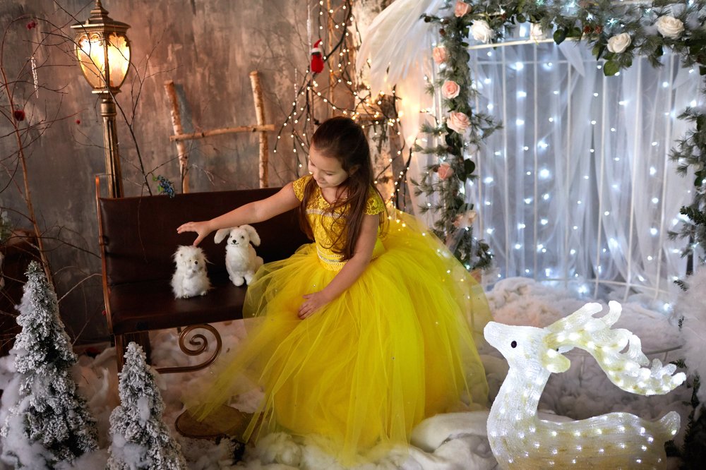 В зимней сказке.