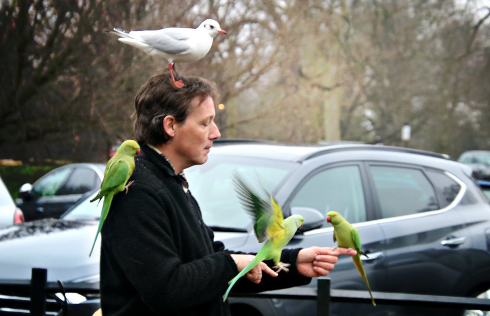 Photograph by Irina Radzinskaya