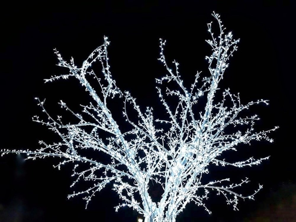 Photograph by Teresa Guerreiro