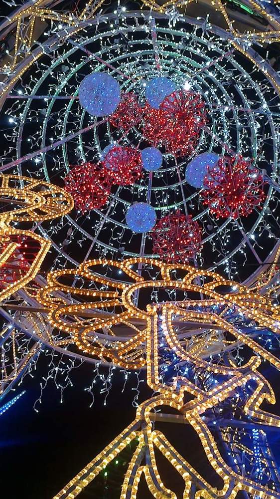 Photograph by Teresa Guerreiro