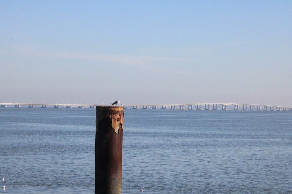 Photograph by Teresa Guerreiro