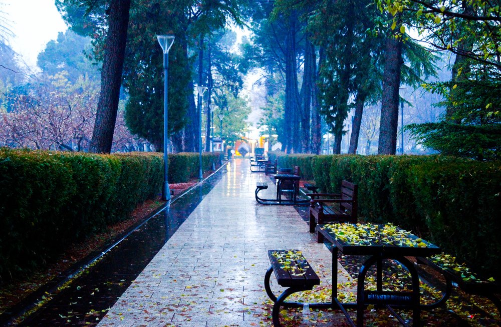 Photograph by ماهر كساب