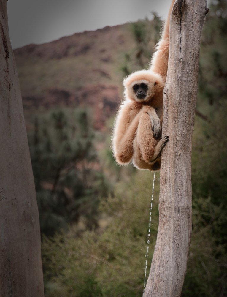 Фотография автора Anna NovaLova