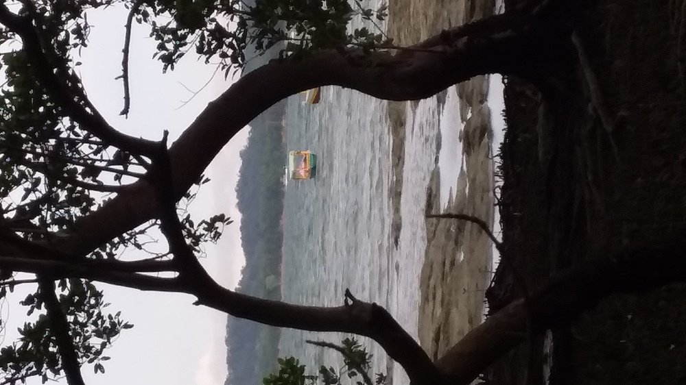 Photograph by Jorge Lima