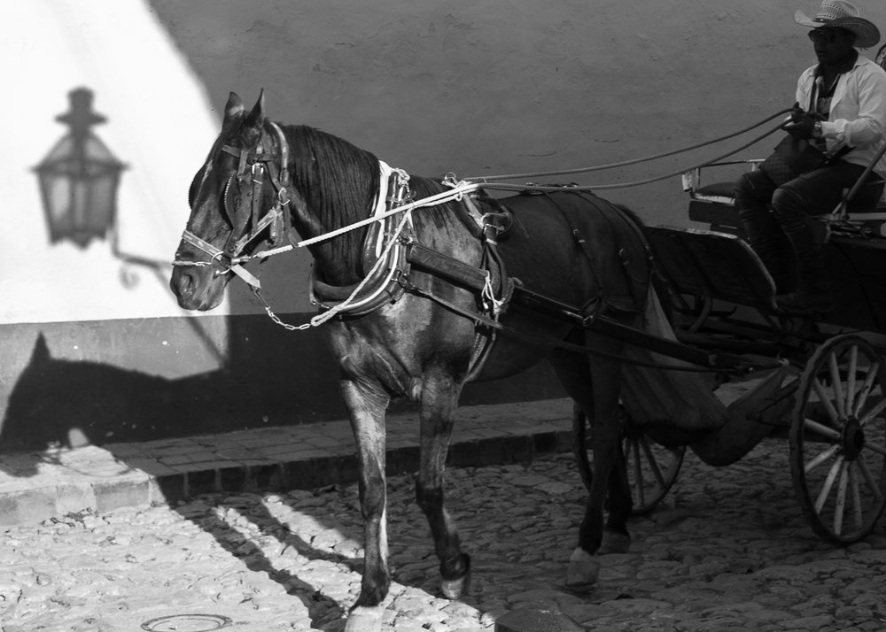 Photograph by Demetrio Jereissati