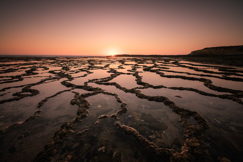 Photograph by Lopes Luis