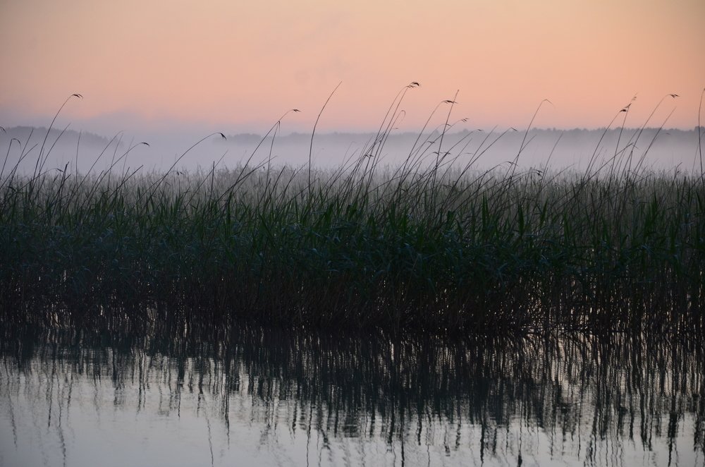 Рассвет. Июнь. Все летние радости ещё впереди!