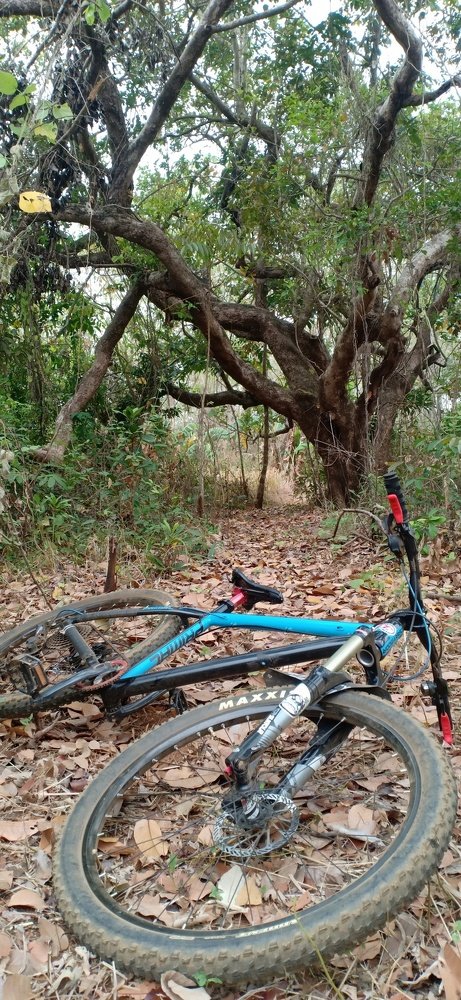 Bike Trail