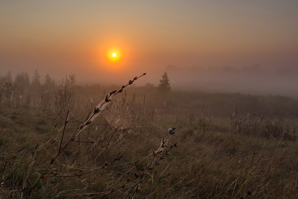 Photograph by Геннадий Михайлов