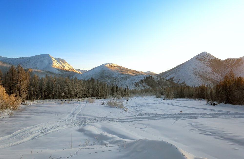 Ясный  зимний короткий день.