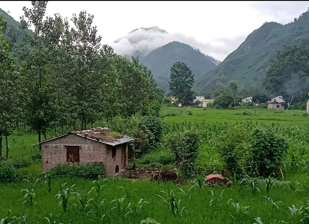 Nature calling