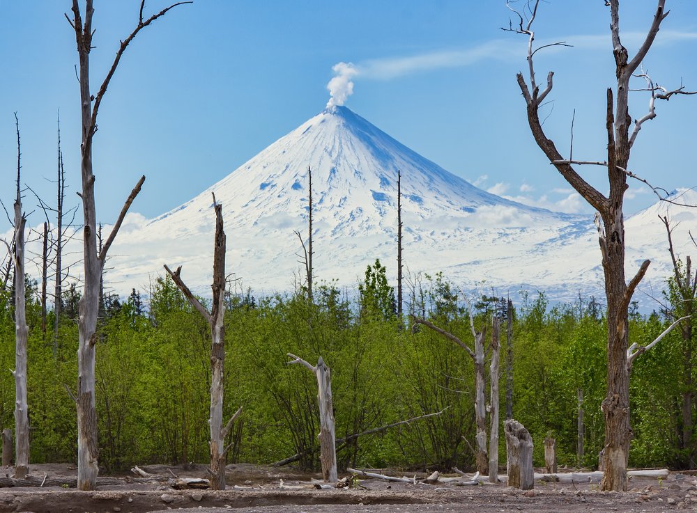 Photograph by Геннадий Теплицкий