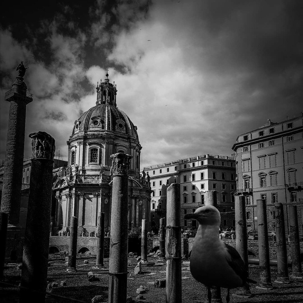 The Bird and Rome
