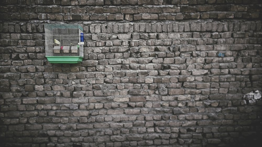 Фотография автора Omar Sana