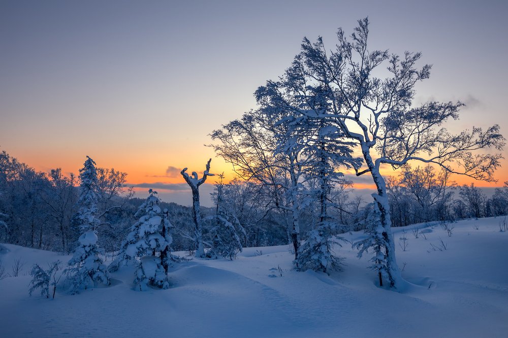 В зимней сказке
