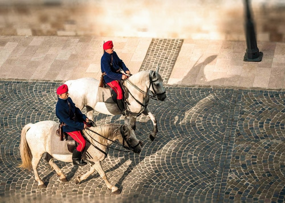 Photograph by Елена Венкова