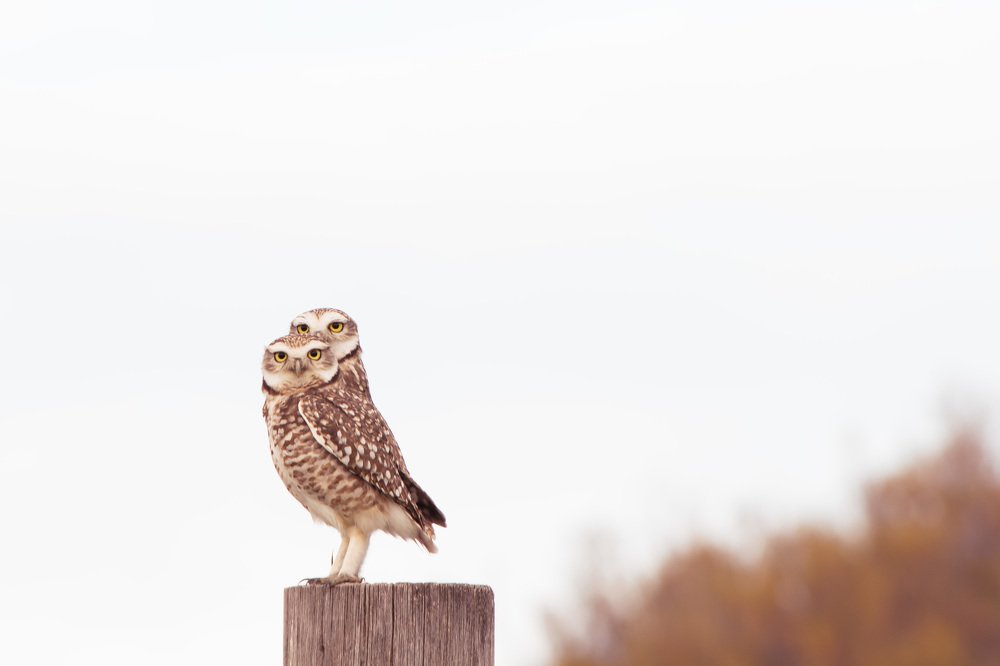 Photograph by Lucia Ana Juárez