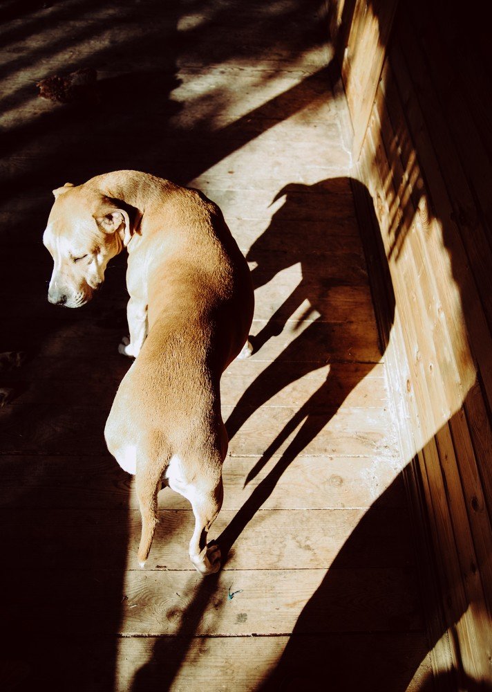 Photograph by Liguanna Anna