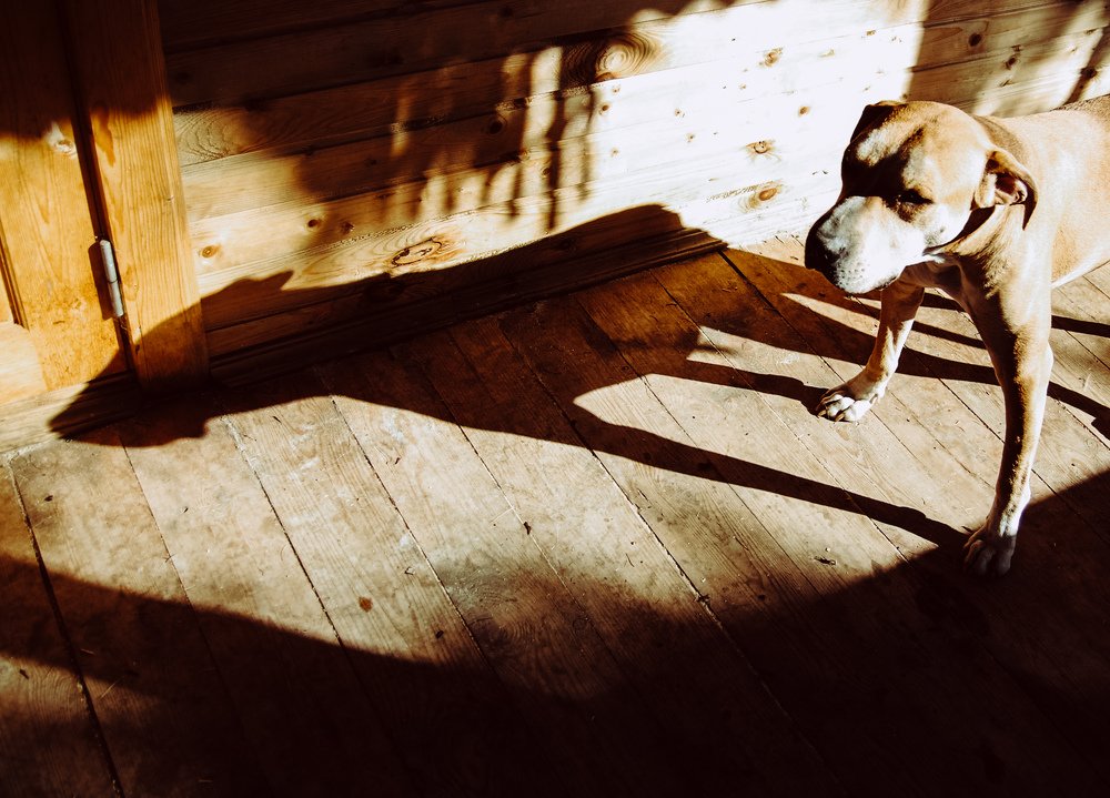 Photograph by Liguanna Anna