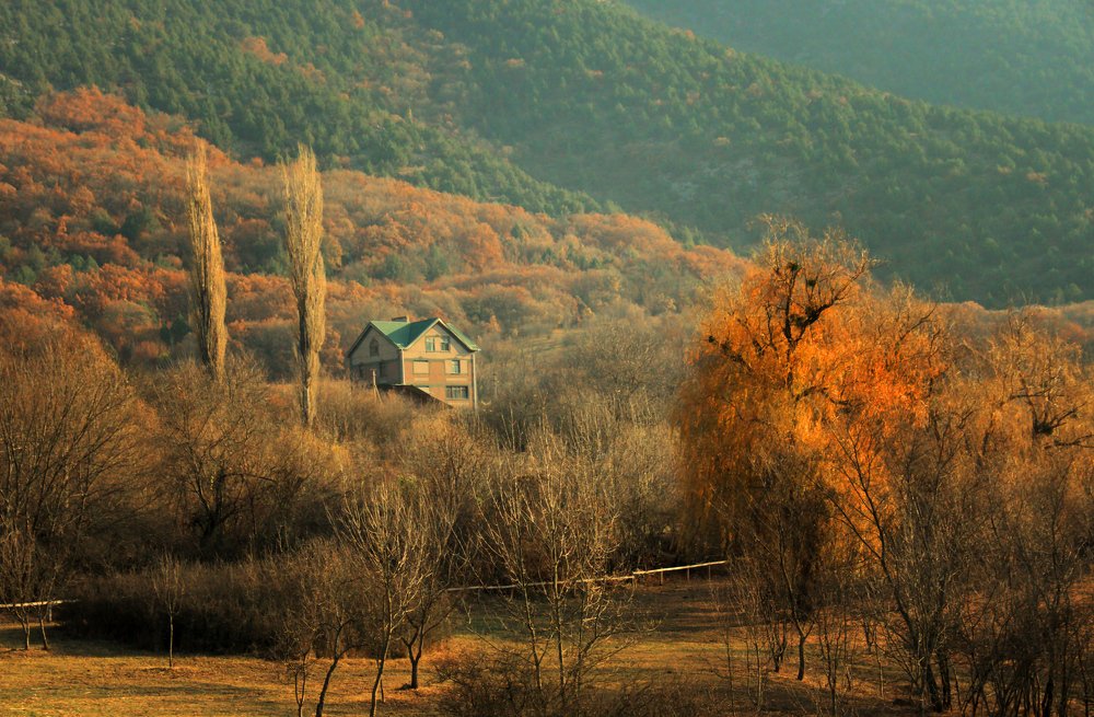 Photograph by AlexSa