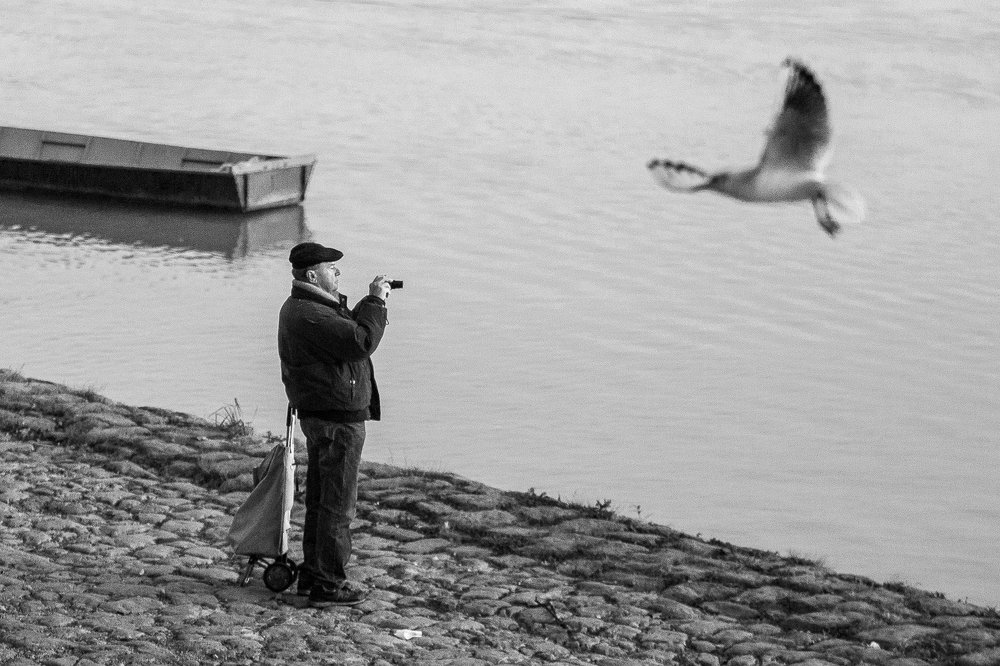 Photograph by Bojan Dzodan